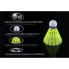 c3cd688b993c5cae74040fa66e9898f3.webp Yanyu Nylon Badminton Shuttlecock