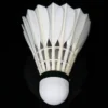 cca4fbaa0075ea0fc0db48b8f566ca1a.webp 12Pcs Badminton Shuttlecock