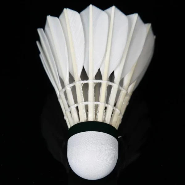 cca4fbaa0075ea0fc0db48b8f566ca1a.webp 12Pcs Badminton Shuttlecock