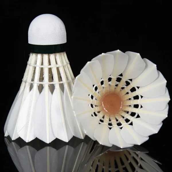 ce2bff978b93a990d75cefd848546b52.webp 12Pcs Badminton Shuttlecock