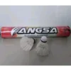 id-11134207-7ra0g-mckby6l4mplzb2.webp Badminton Shuttlecock 12Pcs