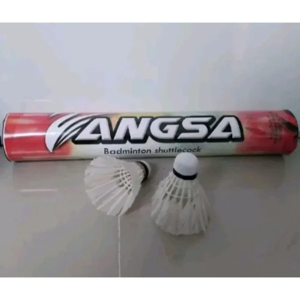 id-11134207-7ra0g-mckby6l4mplzb2.webp Badminton Shuttlecock 12Pcs