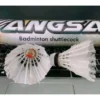 id-11134207-7ra0h-mckby6l4o46fad.webp Badminton Shuttlecock 12Pcs