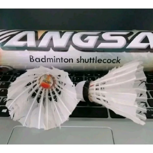 id-11134207-7ra0h-mckby6l4o46fad.webp Badminton Shuttlecock 12Pcs