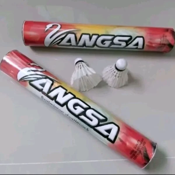 id-11134207-7ra0p-mckby6l4piqv73.webp Badminton Shuttlecock 12Pcs