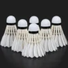sg-11134201-7rd6s-lw7uhul34z3lbe.webp COLO Badminton Shuttlecock