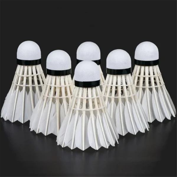 sg-11134201-7rd6s-lw7uhul34z3lbe.webp COLO Badminton Shuttlecock