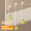 Badminton Rebound Training Set